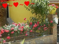 Sofia Margaritas Rooms