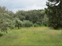 Haus Skaros im Honigtal-Farmland