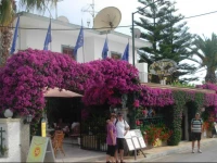 Harrys Bar & Apartments 1