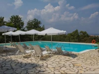 Natural Blue Green Apartment