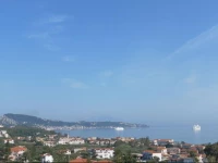 Olive Tree Apartments