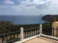 Anemone Purple and Coral Maisonettes and Apartments