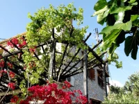 Papanestoras Apartments