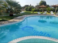 Dolphin Kastraki Studios