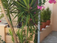 Alexandros Studios & Apartments 1*