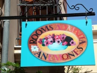 Anemones Rooms