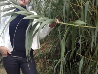 Holiday home Rampias