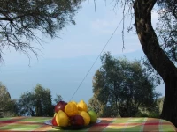 Chris and Nick Corfu Villa