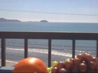 Anna Koralli Studios