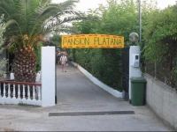 Pansion Platana
