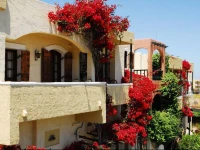 Malia Studios Hotel-Apartments