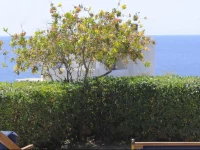 Holiday Resort in Siros,Cyclades