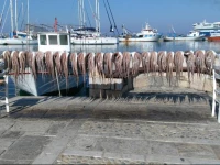 Sailing Gratsia Fitness & Spa