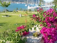 Casa Vacanze Bilocale Nidri