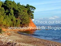 Daniils Seafront Apartment