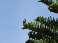 Maridatis Apartments