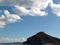 Surf Beach Apartments