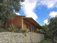 Pieros Studios Alipa