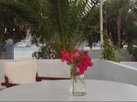 Studios Fotini Strata