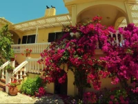 Appartamenti Angelika