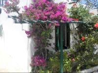 Charming House Platy Gialos