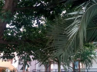 Klimis Rooms & Apartments