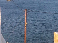 Bofor Studios & Rooms