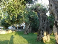 Apartments Villa Manos