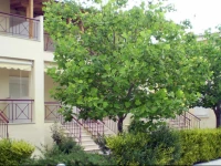 Siviri Rental Houses