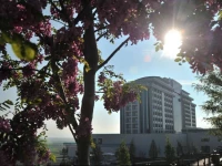 Alila Deluxe Thermal Hotel & Spa