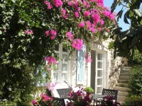 Incirliev - Special Category