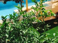 Sari Kosk Butik Hotel