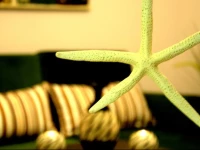 Konukevim Apartments