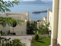 Seahorse 10 Apartment