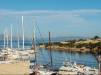 Daliann Elite Aparts