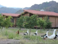 Beyaz Nar Holiday Houses