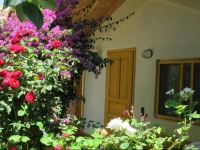 Blue Paradise Pension 3*