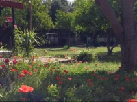 Cirali Friends Pension&Camping