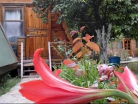 Oran Pansiyon Agac Evler