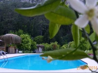 Portalimo Lodge Hotel 2*