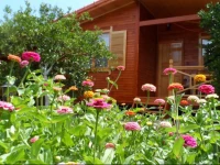 Ugur Pansiyon Bungalows