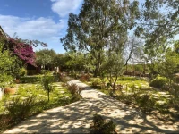 Koop Suites / Eski DatГ§a