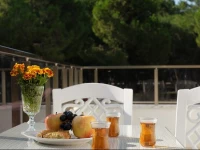 Secret Garden Apartment