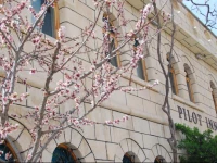 Pilot Inn Cave & Hotel