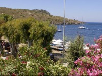 Arriba Pension & Restaurant