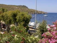 Arriba Pension & Restaurant