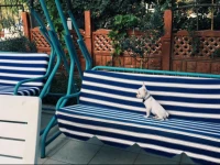 Hotel Yedi YeЕџildaДџ