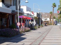 Bodrum Yalikavak Olive Tree Apart