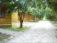 Yesil Bahce Bungalow - Ahsap Evler