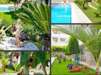 Sultan Homes Holiday